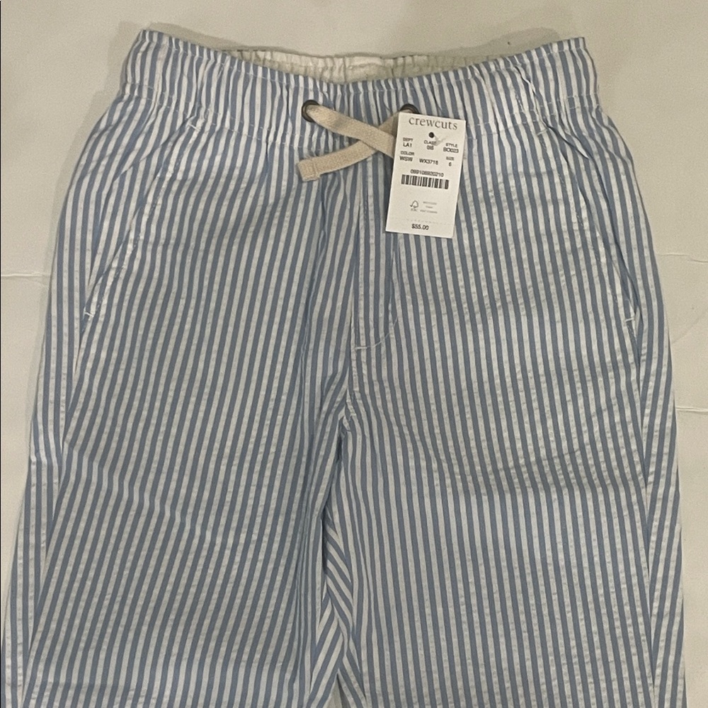 Crewcuts Blue and White Striped Kids Pants